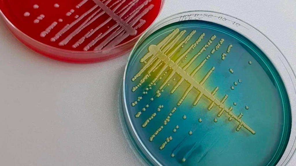 Staining Sets: Scientific Developments and Applications