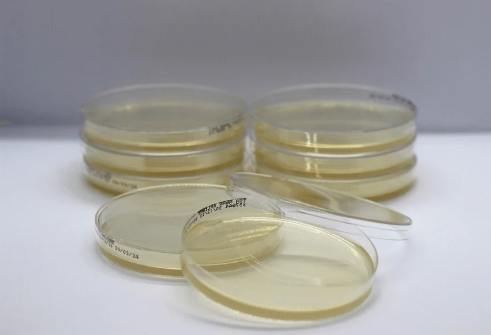 Culture Media Production Line — Packaged Plates