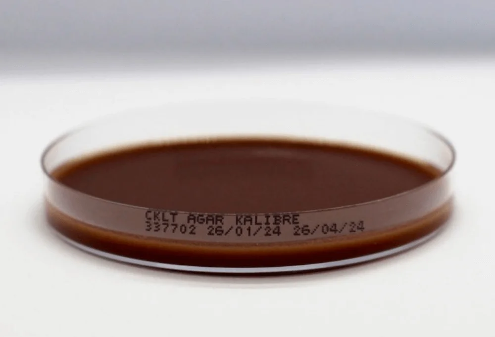 Microbiological Culture Medium — Amber Agar