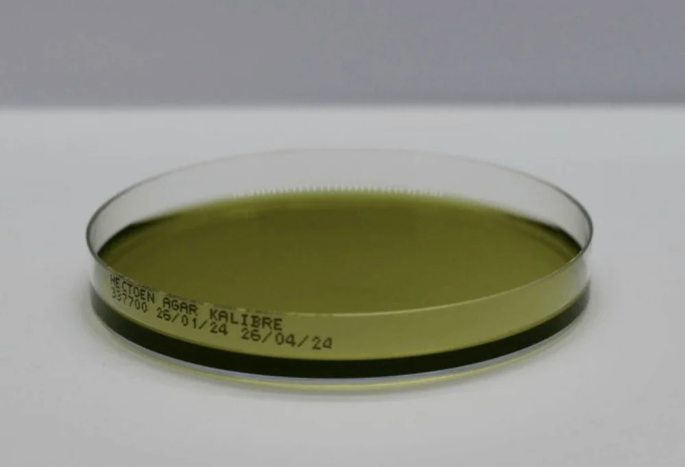 Microbiological Culture Medium — Green Agar
