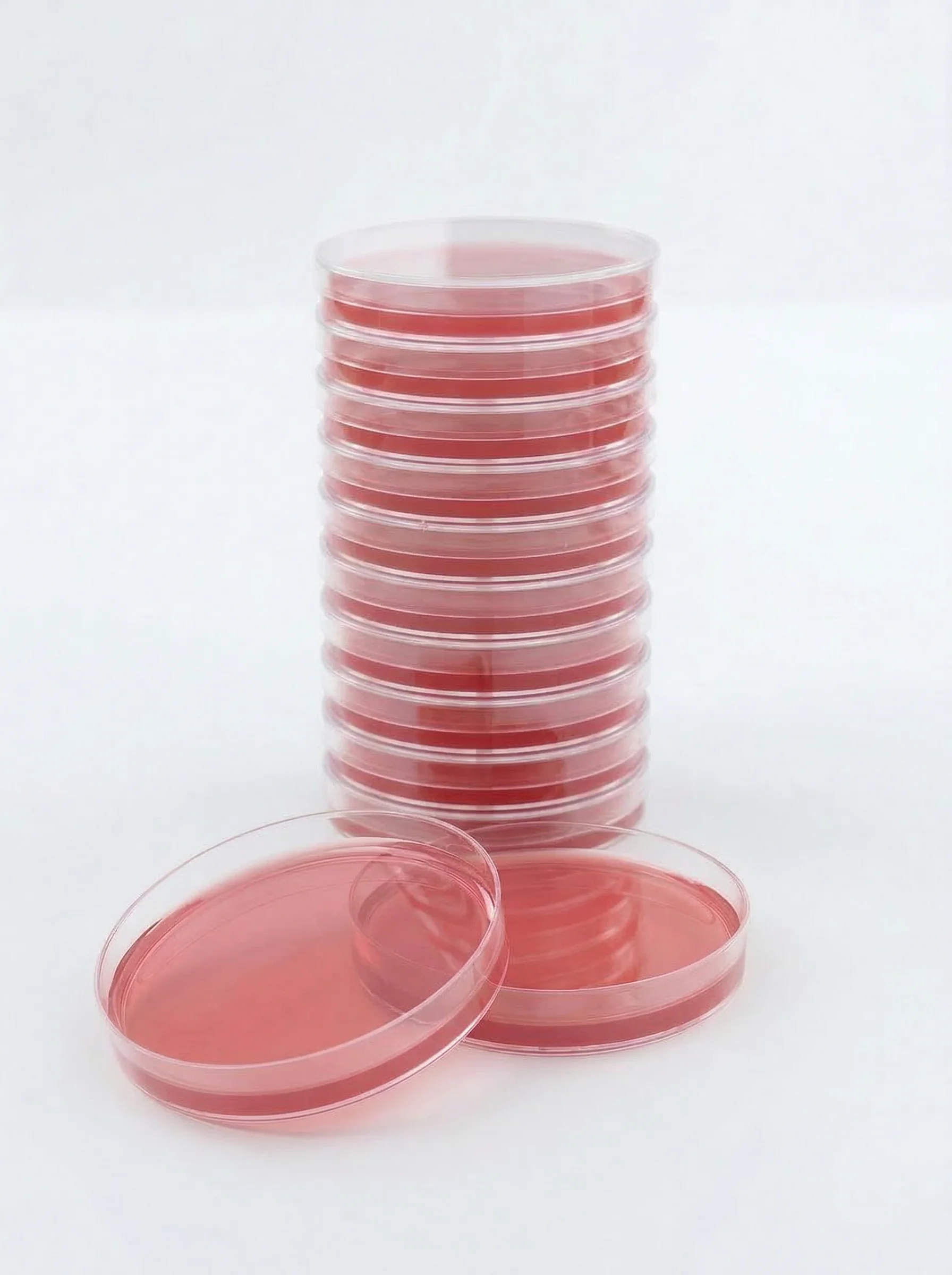 SS Agar